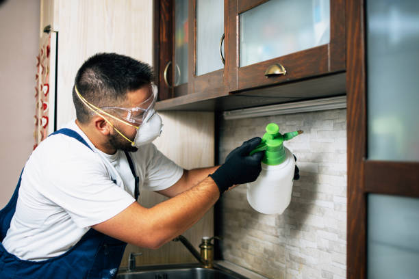 Best Pest Prevention Services  in Lorain, OH