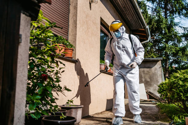 Best Commercial Pest Control Services  in Lorain, OH