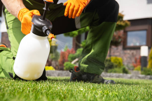 Best Ant Control Services  in Lorain, OH