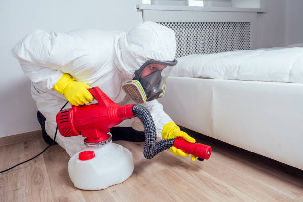 Best Wasp Removal Services  in Lorain, OH